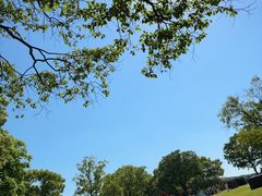 -上海月湖雕塑公园