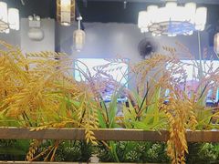 -小肥牛潮汕牛肉火锅(南联店)