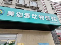 -美迦爱-动物医院·骨科·牙科·夜诊(朝阳路诊疗中心)