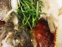 -椿记烧鹅(北门店)