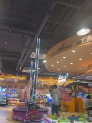 -卡通尼·Safari非洲探索乐园·生日会(金桥国际商业广场店)