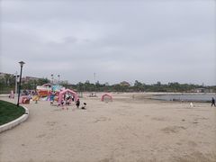 -九龙湖公园