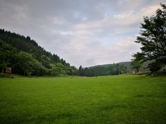 -武陵山森林公园