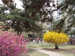 -辽宁大学(崇山校区)