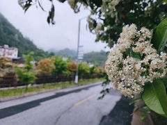 -龙峪湾国家森林公园