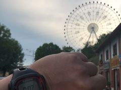 -特克斯八卦城