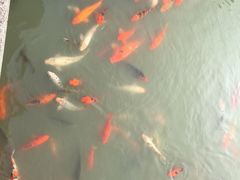 -圆通寺