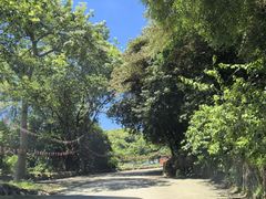 -大石鼓山庄·珠海第一烧猪