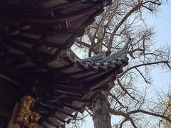 -豫园