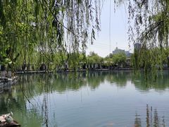 -百花洲