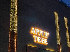 -苹果树下艺术餐厅(宋庄店)