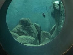 -苏州海洋馆