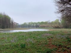 -溱湖国家湿地公园