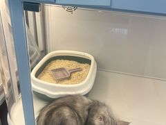 -万达广场(北京槐房店)