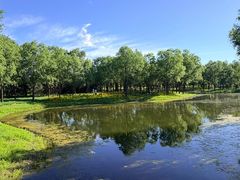 -东郊湿地公园