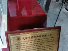 -黄帝陵