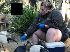 -费瑟代尔野生动物园