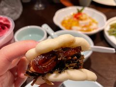 -羲和雅苑•北京烤鸭(乐园道万象城店)