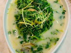 上汤豆苗-石头咕(葵蓬店)