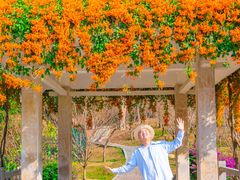 -桃花涧