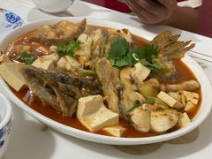 -煲来饱去冷水鱼