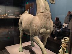 -广西壮族自治区博物馆