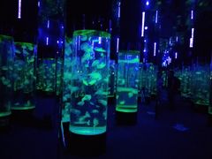 -成都浩海立方海洋公园