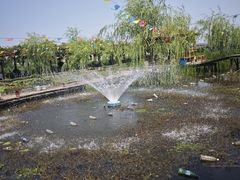 -同銮特种养殖场·龙虾垂钓