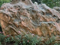 -中国人民解放军总医院