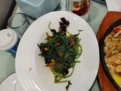 -听涛雅苑百味饺子老家菜馆