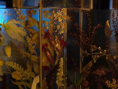 -新加坡乌节希尔顿酒店 (SG Clean)