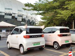 -广西体育中心-游泳馆