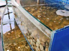 水产区-蟹谢蒸鲜自助餐厅