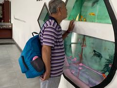 -北戴河圣蓝海洋公园