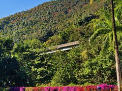 -西双版纳原始森林公园