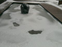 -梧桐餐厅(泉城路店)