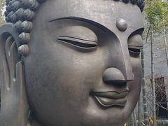 -杭州植物园