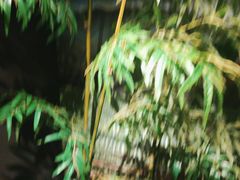 -湘邻呷铺·田园家宴(汉基广场店)