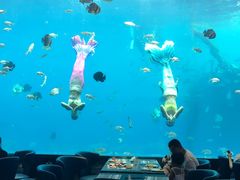 -瑞德姆美人鱼海底演艺主题餐厅(亚龙湾店)