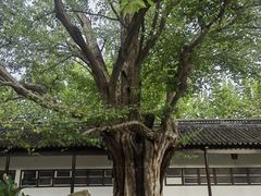 -苏州文庙(姑苏区)