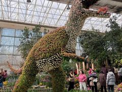 -沈阳植物园