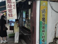 -猫的魔法密林(衣裳街店)
