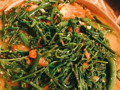 炒水蕨菜-多哥水傣味餐厅(司马巷店)