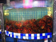 水产区-指爱龙虾(金杨路总店)