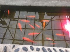 -丽江庭院之爱在路上(西单店)