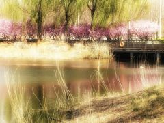 -南开大学(津南校区)