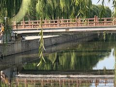 -元大都城垣遗址公园