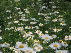 -西湖风景区-江洋畈生态公园