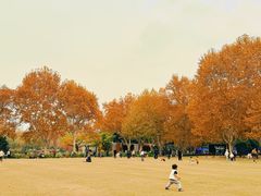 -中山公园