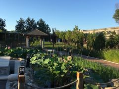 -中家鑫园温泉酒店鑫悦汤泉